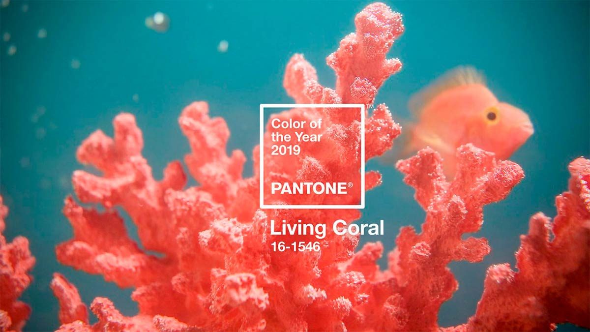 Color Pantone del año 2019: LIVING CORAL